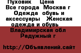 Пуховик  › Цена ­ 900 - Все города, Москва г. Одежда, обувь и аксессуары » Женская одежда и обувь   . Владимирская обл.,Радужный г.
